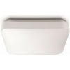 Philips 31110/31/P3 LED stropné svietidlo Mauve 1x17W | 2000lm | 4000K - biela