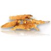 KIDDOG mořské sluneční rybičky obalené kuřecím masíčkem 250 g