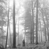 Taylor Swift, Folklore (Deluxe Edition) (In The Trees), CD