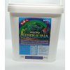 Easy Fish Spirulina vločky 600 g