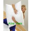 Vankúš Aloe Vera 70x90 cm 900g so zipsom guličky STANDARD 60799/55