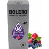 Nápoj lesné ovocie Bolero 108 g