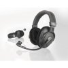 beyerdynamic DT 297 PV MK II 250 Ohm
