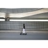 Ninebot by Segway Kickscooter E2 PRO E Black Segway