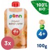 3x SALVEST Põnn BIO Mango 100 % (100 g)