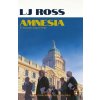Amnesia - LJ Ross