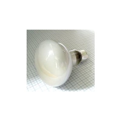 BELLIGHT Žiarovka 240V 60W E27 R80 80x115mm