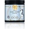 Zeen by Roal kĺbový Kolagén premium 230 g