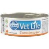 Vet Life Natural Cat konz. Convalescence 85g