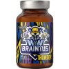 Ostrovit Braintus Thunder - 90 kapsúl
