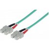 Intellinet 750844