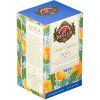 BASILUR Herbal detox čaj 20 sáčkov