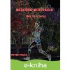Bežcova motivácia - Peter Polák 2014