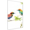 Vertikálny foto obraz sklo tvrdené Vtáky 50x100 cm