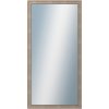 DANTIK - Zrkadlo v rámu, rozmer s rámom 60x120 cm z lišty TOOTH malá strieborná (3162)