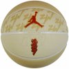 Lopta Jordan All Court Zion Ball J1004141720