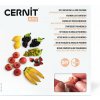 Cernit Starter Kit Polymérová hmota Fruit Miniatures