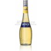 Bols Vanilla 24% 0,7 l (čistá fľaša)