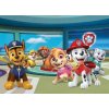 AG Design fototapeta FTDN M 5273 Paw patrol 160 x 110 cm (VLIESOVÁ FOTOTAPETA 1-DIELNA)