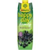 Rauch Happy Day Čierna ríbezľa 25% 1l