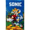 SONIC JEŽKO uterák na ruky do škôlky 30x50