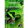 Amphibien am Gartenteich