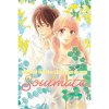 Viz Media Kimi ni Todoke: From Me to You - Soulmate 2