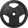 Liatinový kotúč inSPORTline Hamerton Black 20 kg 30 mm