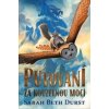 Putování za kouzelnou mocí - Sarah Beth Durst