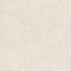 Dlažba Pastorelli Biophilic white 60x60 cm mat P009458 0.720 m2