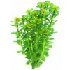 Dennerle Rotala indica In-Vitro