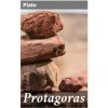 Protagoras (Plato,Benjamin Jowett)(Brožovaná)