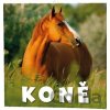 Koně 2027 - nástěnný kalendář - Baloušek