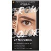 L'Oréal Paris semi-permanentná farba na obočie Brow Color 5.0 Brunette