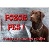 Pozorpes.sk, výstražná tabuľka (Hnedý labrador retríver)