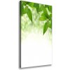 Vertikálny foto obraz na plátne Zelené lístie 50x100 cm