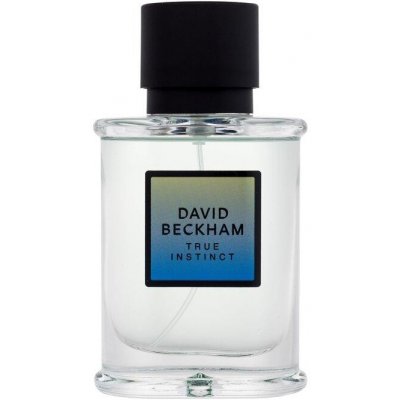David Beckham True Instinct (M) 50ml, Parfumovaná voda