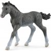 Schleich Zvieratko - žriebä koňa trakénskeho, 13944