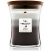WoodWick Trilogy - Warm Woods 275 g