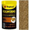 Tropical Meal Worms 100 ml