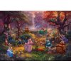 Schmidt - Puzzle Kinkade: Robin Hood - 1000 dielov