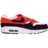Nike Nízke tenisky Air Max 1 viacfarebny