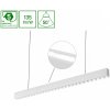 Spectrum WOJP06597