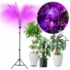 Kobi | LED Stmievateľná stojacia lampa na pestovanie rastlín VITARO 4xLED/7,5W/230V čierna | KB0439