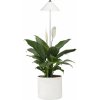 Venso Lampa pre rastliny SUNLiTE 7W - biela