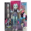 Mattel Monster High Frankie Stein Doll With Blue And Black Streaked Hair