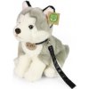 Plyšový pes husky sediaci s vodítkom 28 cm ECO-FRIENDLY