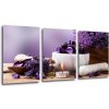Impresi Obraz Levanduľovej zátišie - 150 x 70 cm (3 dielny)
