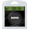 Richter Electric Guitar Strings Ion Coated Light 9-42