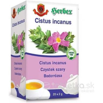 HERBEX Cistus incanus 20 x 2 g